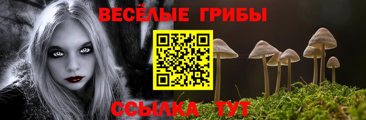 Майкоп  Псилоцибиновые грибы MAGIC MUSHROOMS  Вход с VPN 