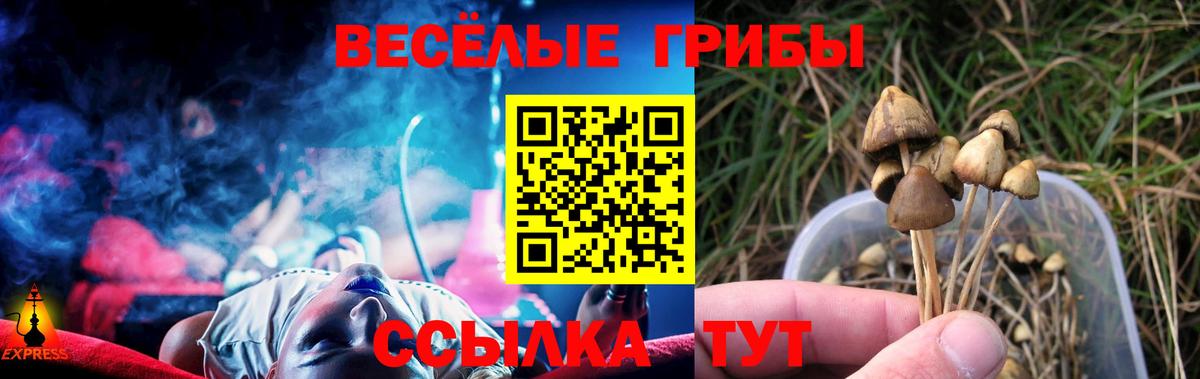 Псилоцибиновые грибы Magic Shrooms Майкоп
